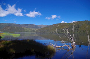湖畔枯木与青山蓝天美景