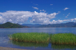 湖畔美景 水草蓝天相衬