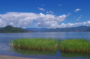 湖畔水草蓝天美景如画