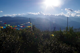 高原经幡在阳光下飘扬