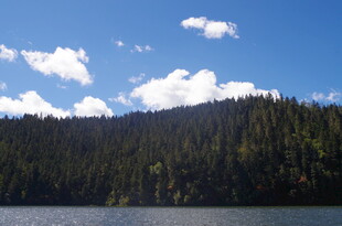 湖畔山林美景