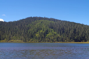 湖畔青山绿树风景图