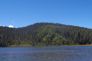 湖畔青山绿树美景