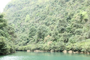 青山绿水间的宁静河流