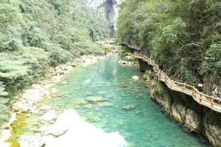 山间碧溪 绿意环绕之景