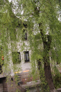 绿荫环绕的古朴小屋