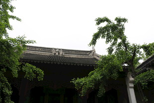 中式古建筑 绿树环绕