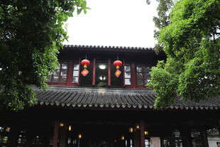中式古建 绿树环绕灯笼悬