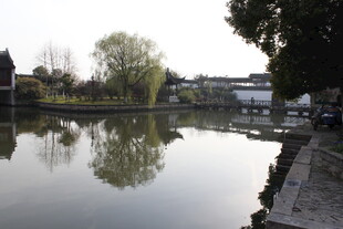 宁静河畔风光