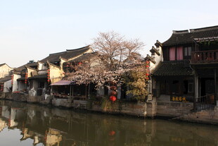 江南水乡古建筑春日景象