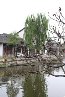 江南水乡景致