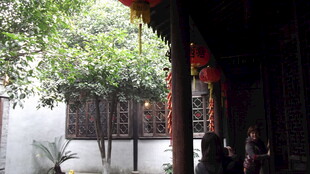 古建廊下绿意中的静谧场景