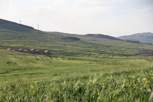广袤绿野山丘风光