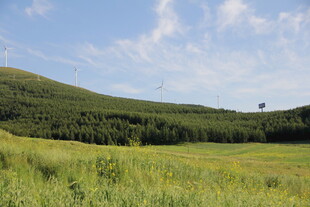 广袤绿野与葱郁山林美景
