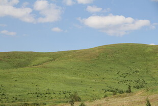广袤绿野蓝天美景