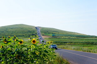 公路旁向日葵与远山风景