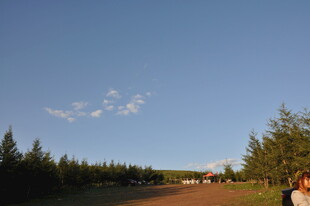 乡村林间小路 悠然景致