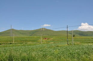 草原风光 远山与电线交织