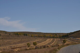 秋日乡间公路风景