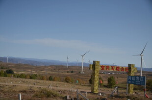 草原风力发电场风景