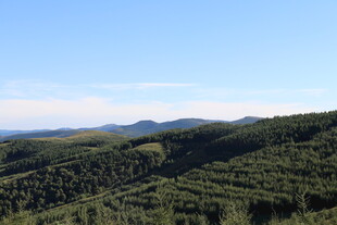 青山绿野的壮阔自然景观