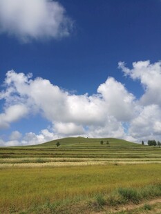 草原蓝天美景