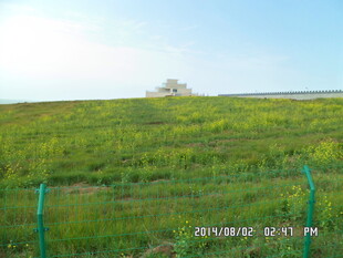 绿色草原风光