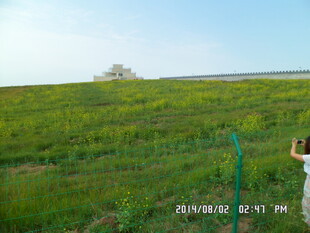草原风光 一人驻足赏景