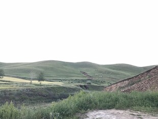 乡村田野风景