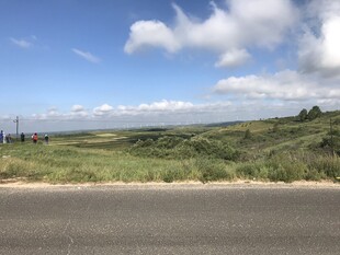 公路旁的开阔绿野风景