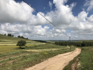 乡间土路 广袤田野风光