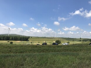 广阔草原风光