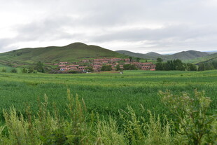 绿野中的远村