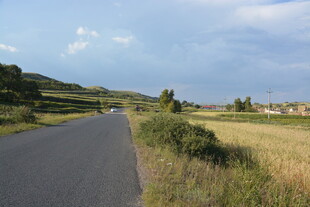乡间公路 田园风光美景