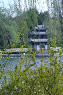 公园风景 