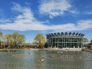 公园风景 