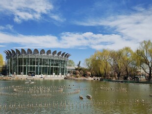 公园风景 