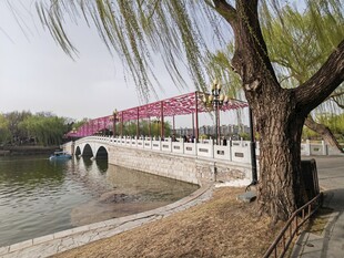 公园风景 
