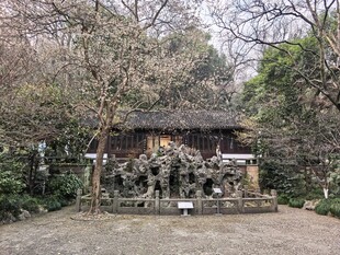 庭院