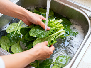 双手清洗新鲜蔬菜