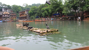 水上竹筏漂流的惬意景象