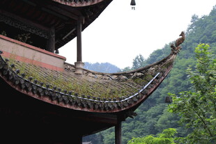 古建屋檐 青山绿树相伴