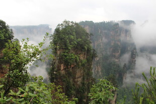 张家界奇峰云雾景观