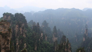 张家界奇峰林立美景