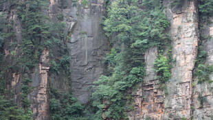陡峭山壁覆绿植
