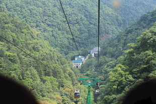 乘缆车赏山间翠绿美景