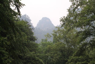 山林间的朦胧奇峰