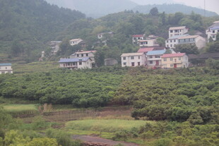山间村落风景如画