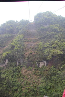 绿意盎然的山林景致