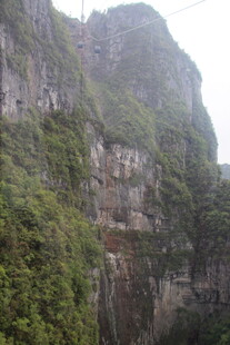 险峻山峦覆绿植景观